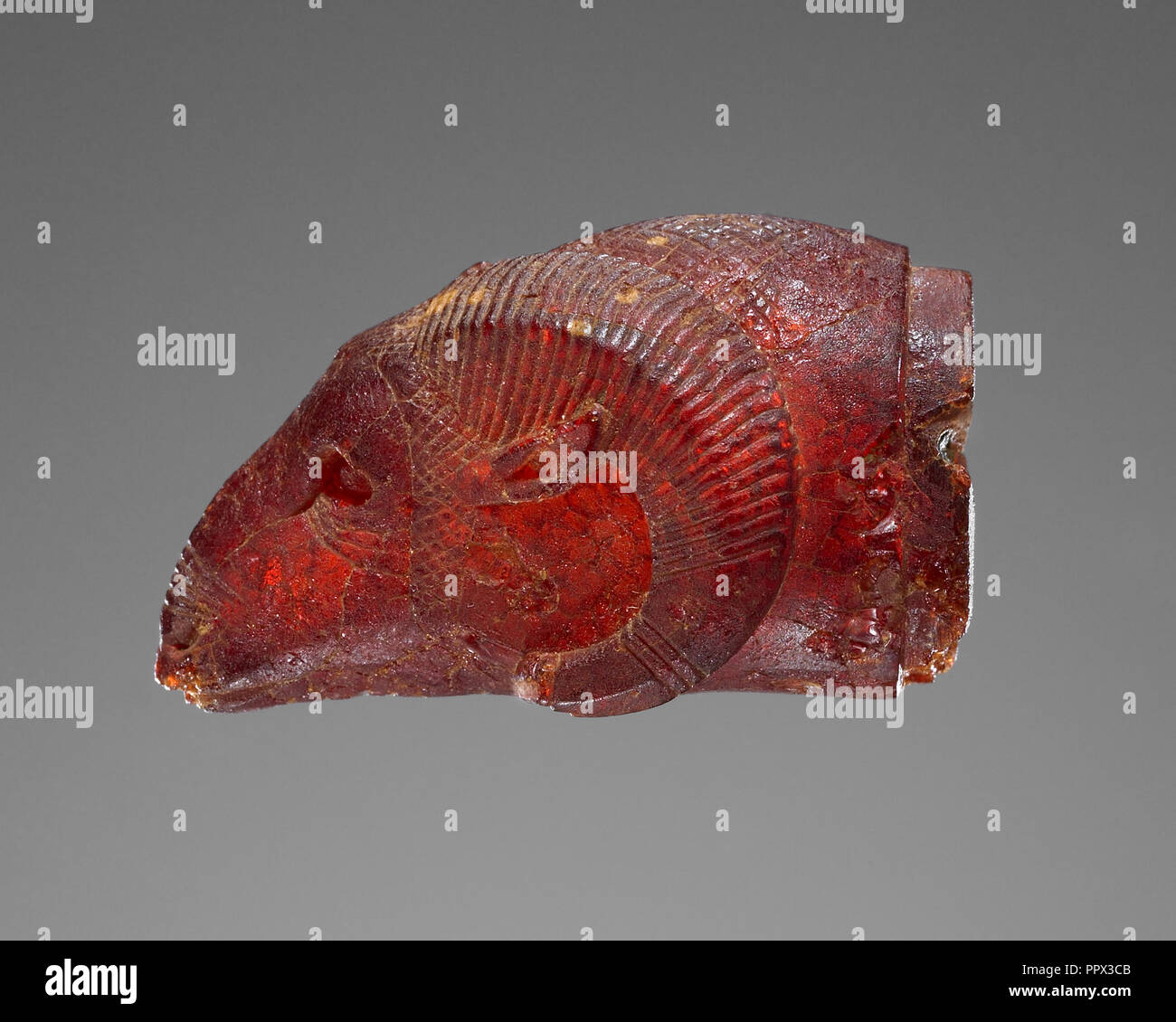 Pendant: Ram's Head; Italy; 525 - 480 B.C; Amber; 36 × 20 × 18 mm, 9 kg, 1 7,16 × 13,16 × 11,16 in., 19.8414 lb Stock Photo