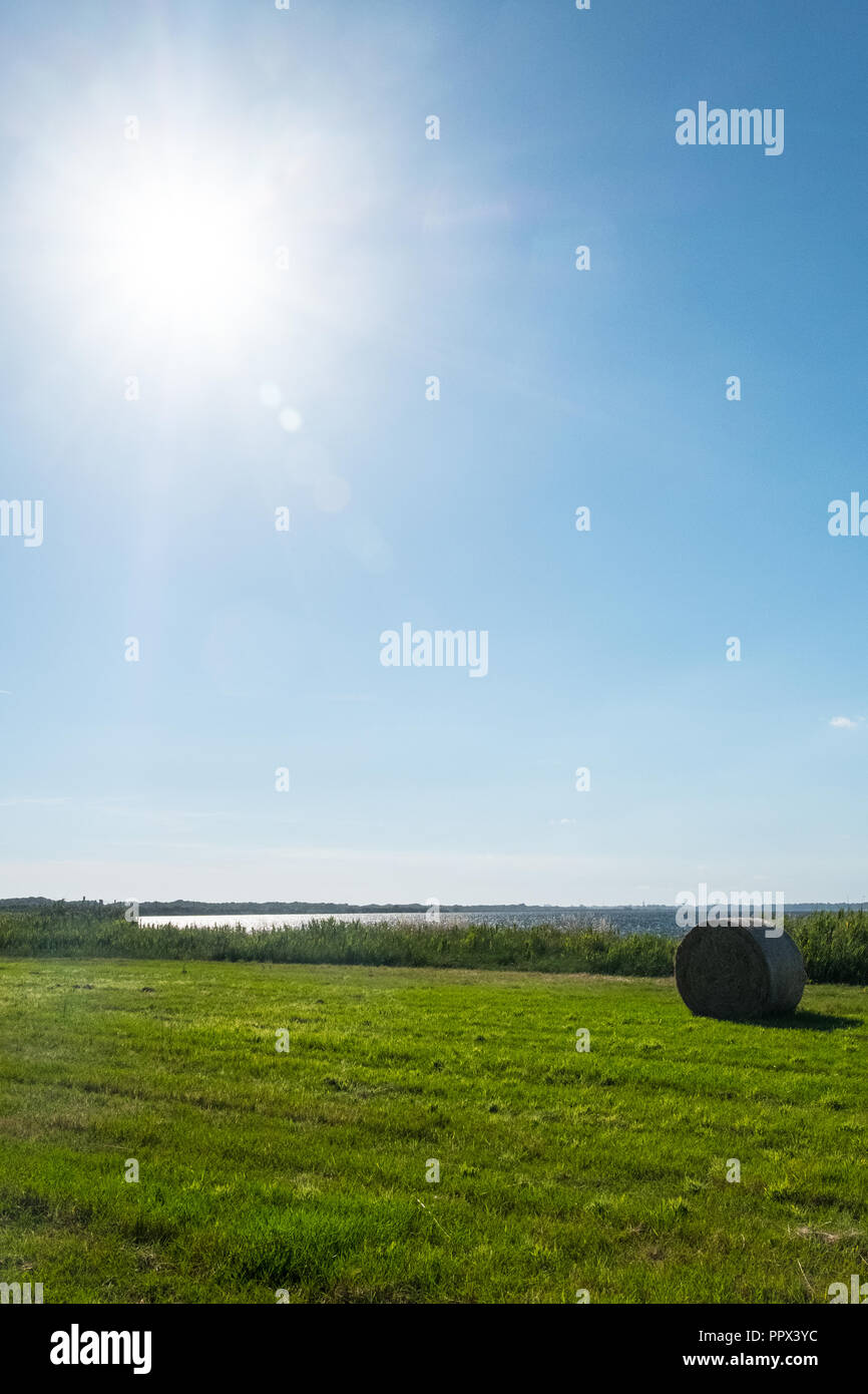 Vertical landscape of a green field with hay rolls with a bright sun in ...