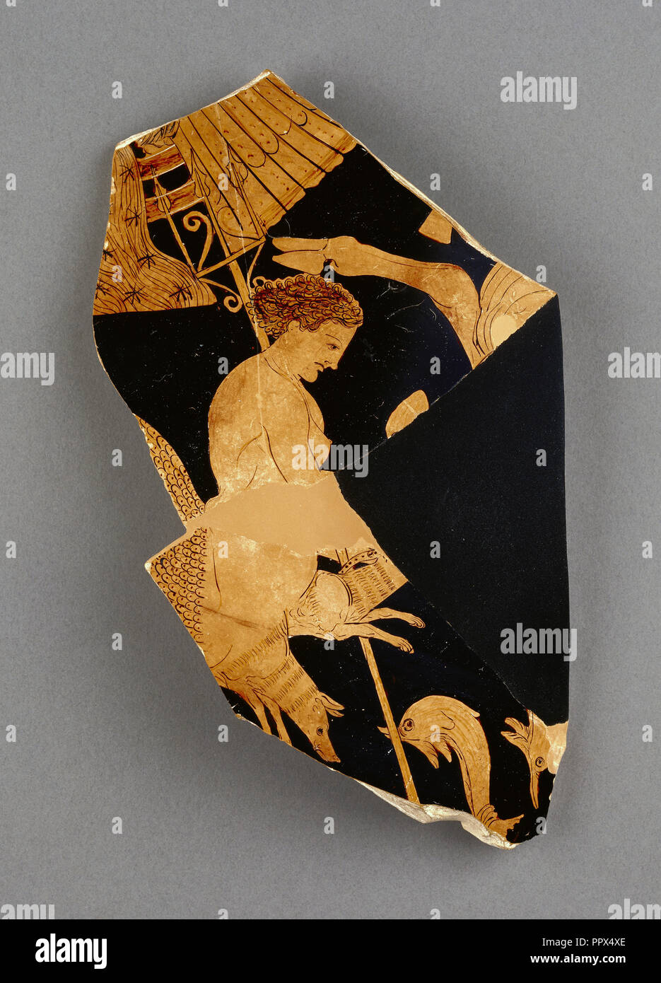 Scylla High Resolution Stock Photography And Images Alamy
