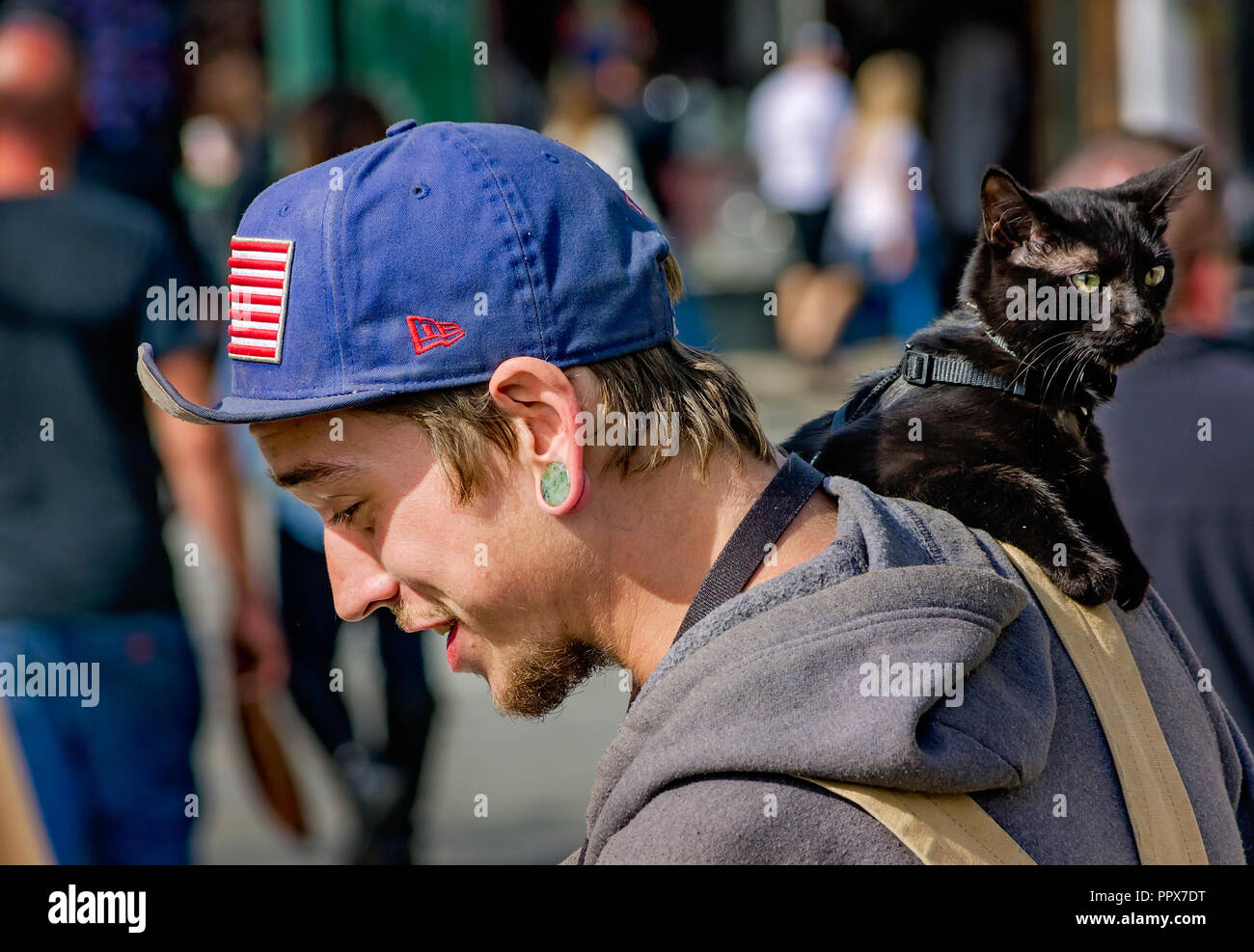 A man wearing a plug earring and a hoodie carries a black cat wearing a harness on his shoulder, Nov. 15, 2015, in New Orleans, Louisiana. Stock Photo