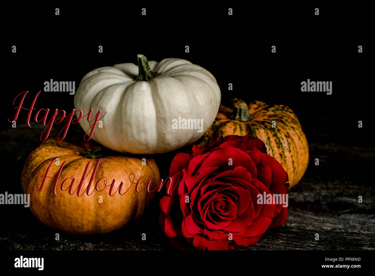 Halloween banner with pumpkins and a red rose, and quote 'Happy Halloween'. Great for social media and blog accounts. Stock Photo