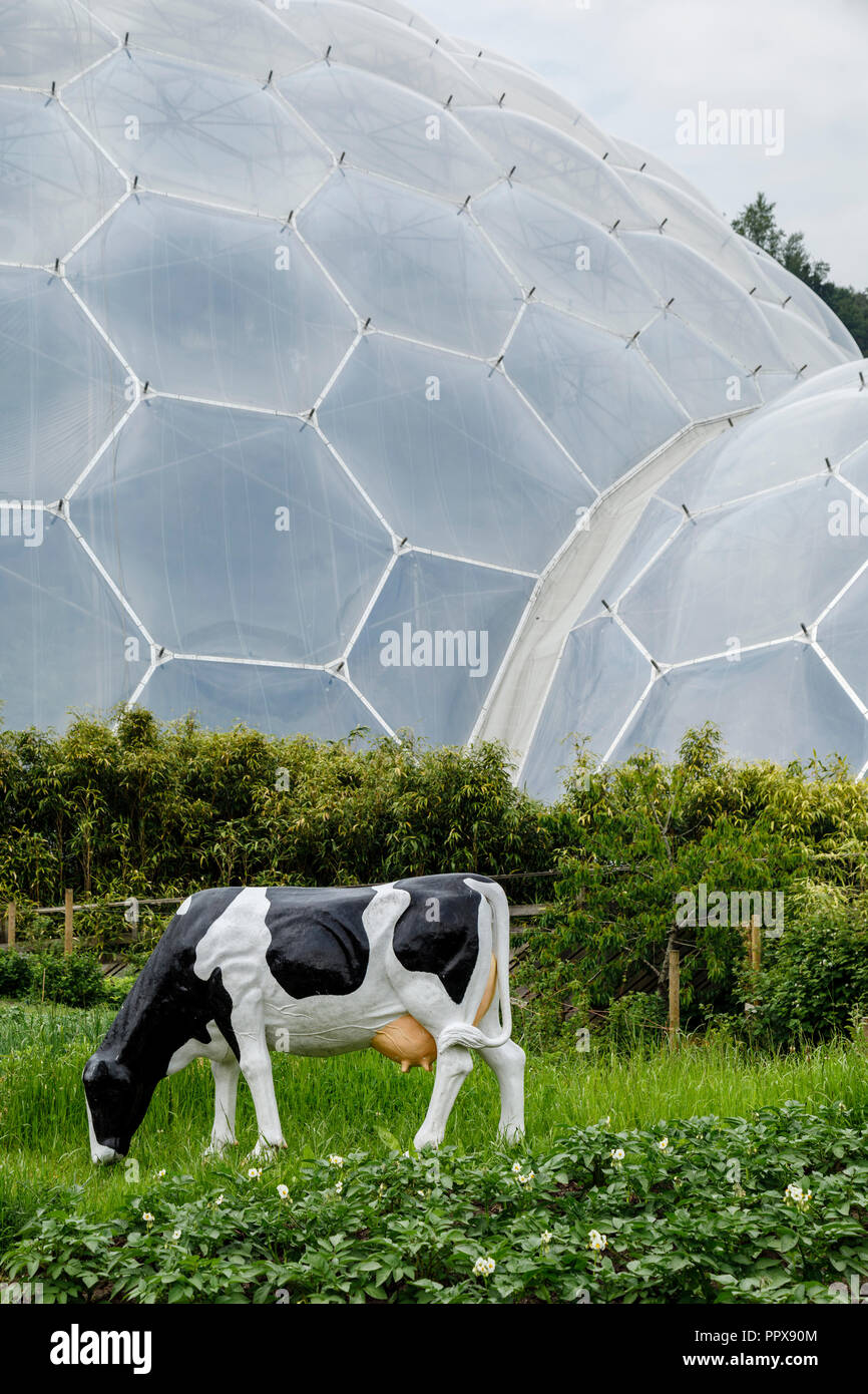 A fibreglass cow in front of the biomes at The Eden Project, Cornwall Stock Photo