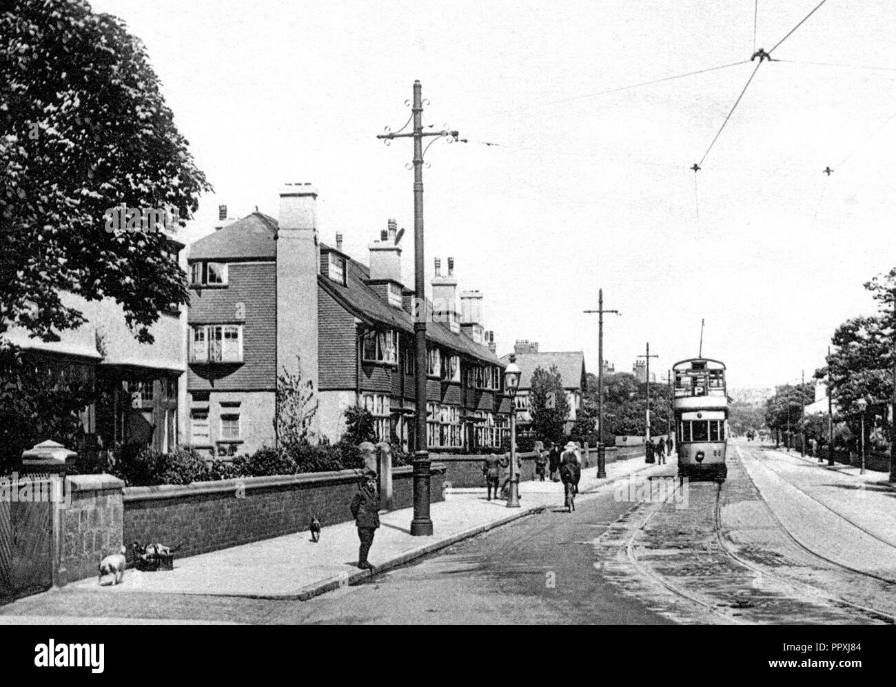 Grove Road, Wallasey early 1900s Stock Photo Alamy