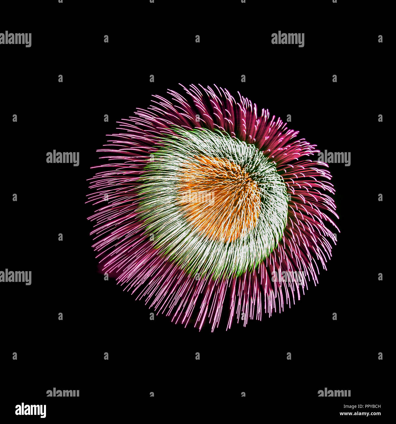 Colorful fireworks isolated on dark background. Stock Photo