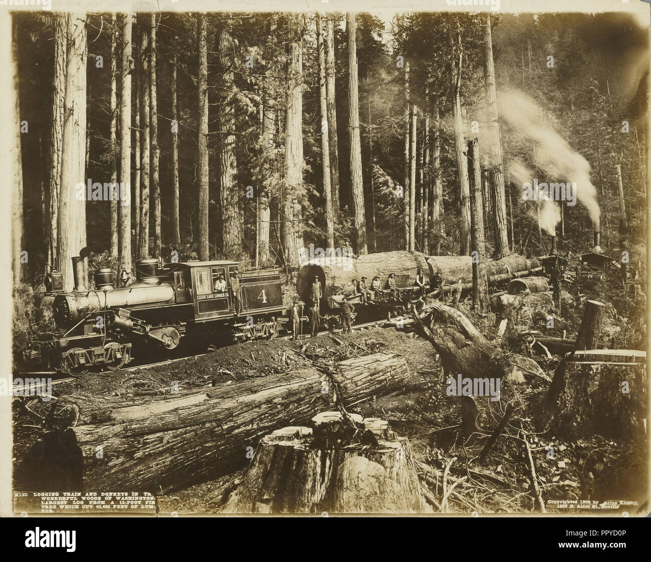 Logging Train and Donkeys in the Wonderful Woods of Washington; Darius