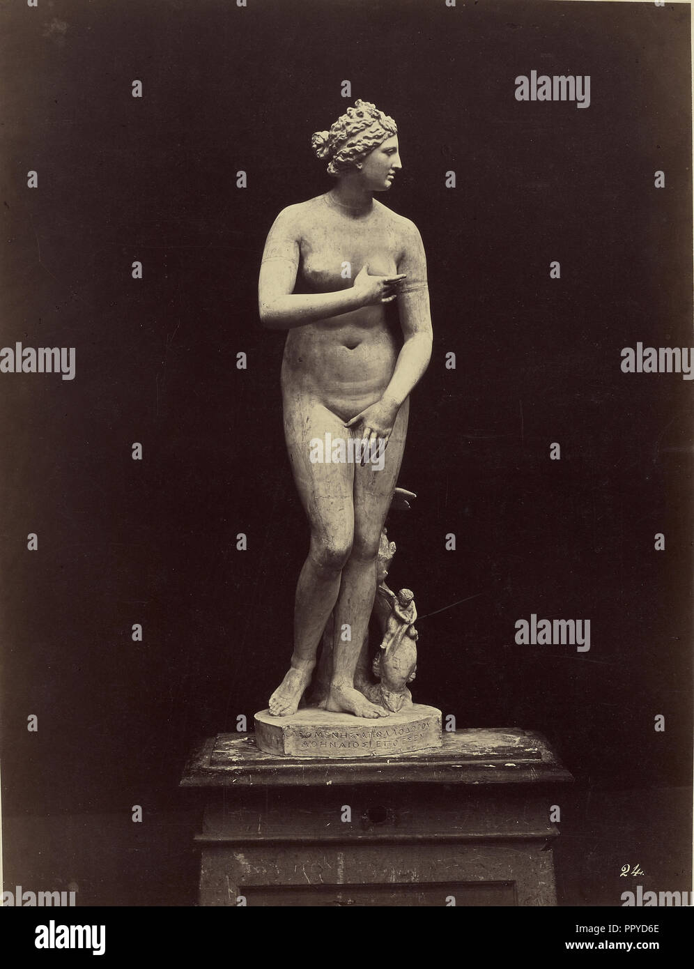 Venus di Medici; Fratelli Alinari, Italian, founded 1852, Florence, Italy; about 1856 - 1872; Albumen silver print Stock Photo