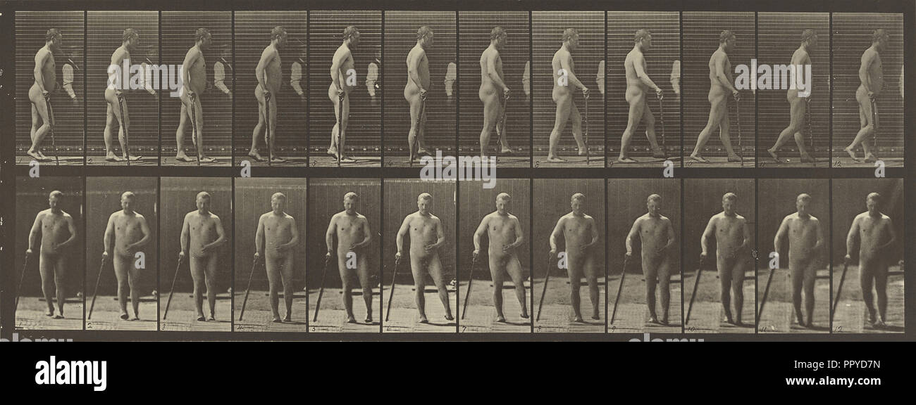 Animal Locomotion; Eadweard J. Muybridge, American, born England, 1830 - 1904, 1887; Collotype; 16 x 44.1 cm Stock Photo