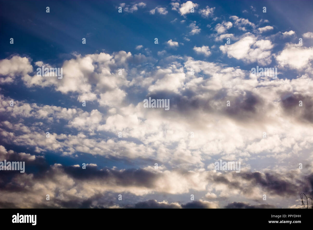Abstract blue sky of summer with rays of light Stock Photo