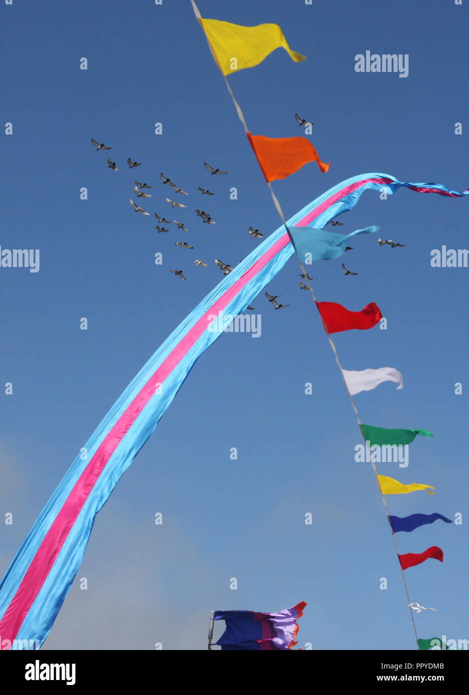 coloured flags fluttering on sunny dat with flock of birds Stock Photo