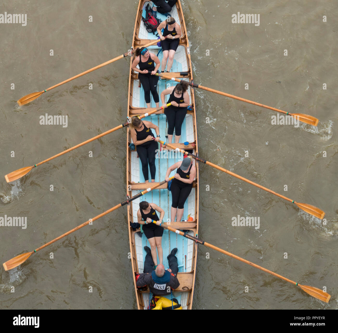 Women Rowing Stock Photo