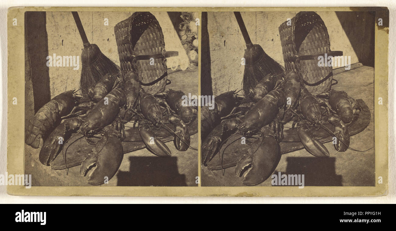 Lobsters; about 1865; Albumen silver print Stock Photo