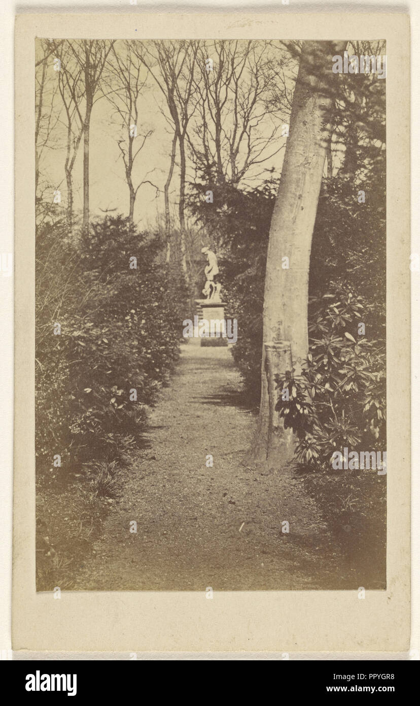 Newstead Abbey. Long walk; A.W. & H. Cox; October 24, 1865; Albumen silver print Stock Photo