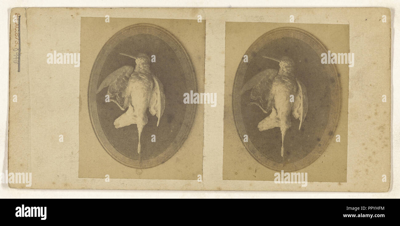 Mounted bird, recto, Mounted bird, verso, about 1865; Albumen silver print Stock Photo