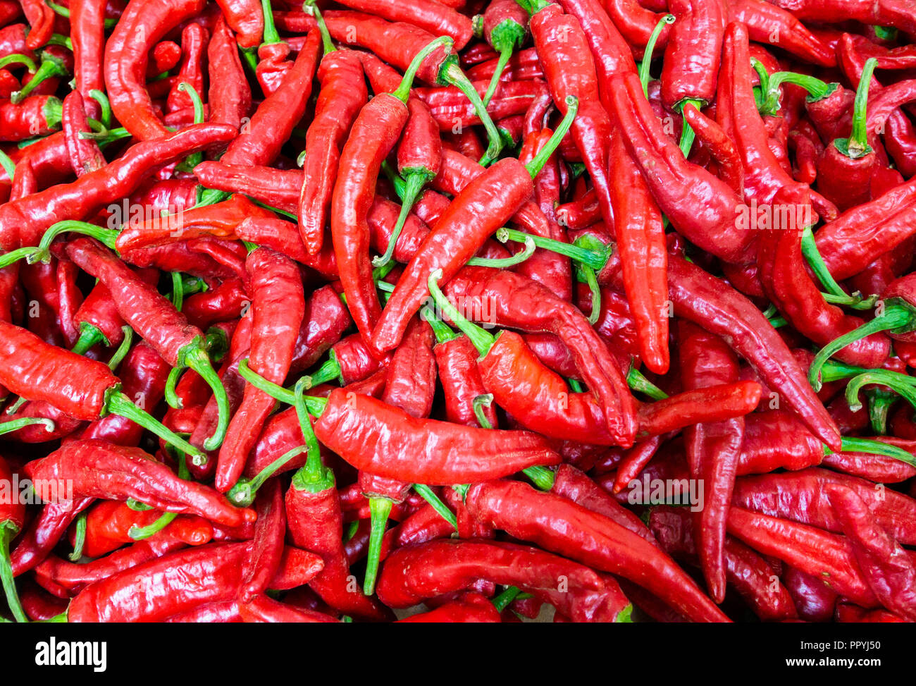 Small Chilli High Resolution Stock Photography and Images - Alamy