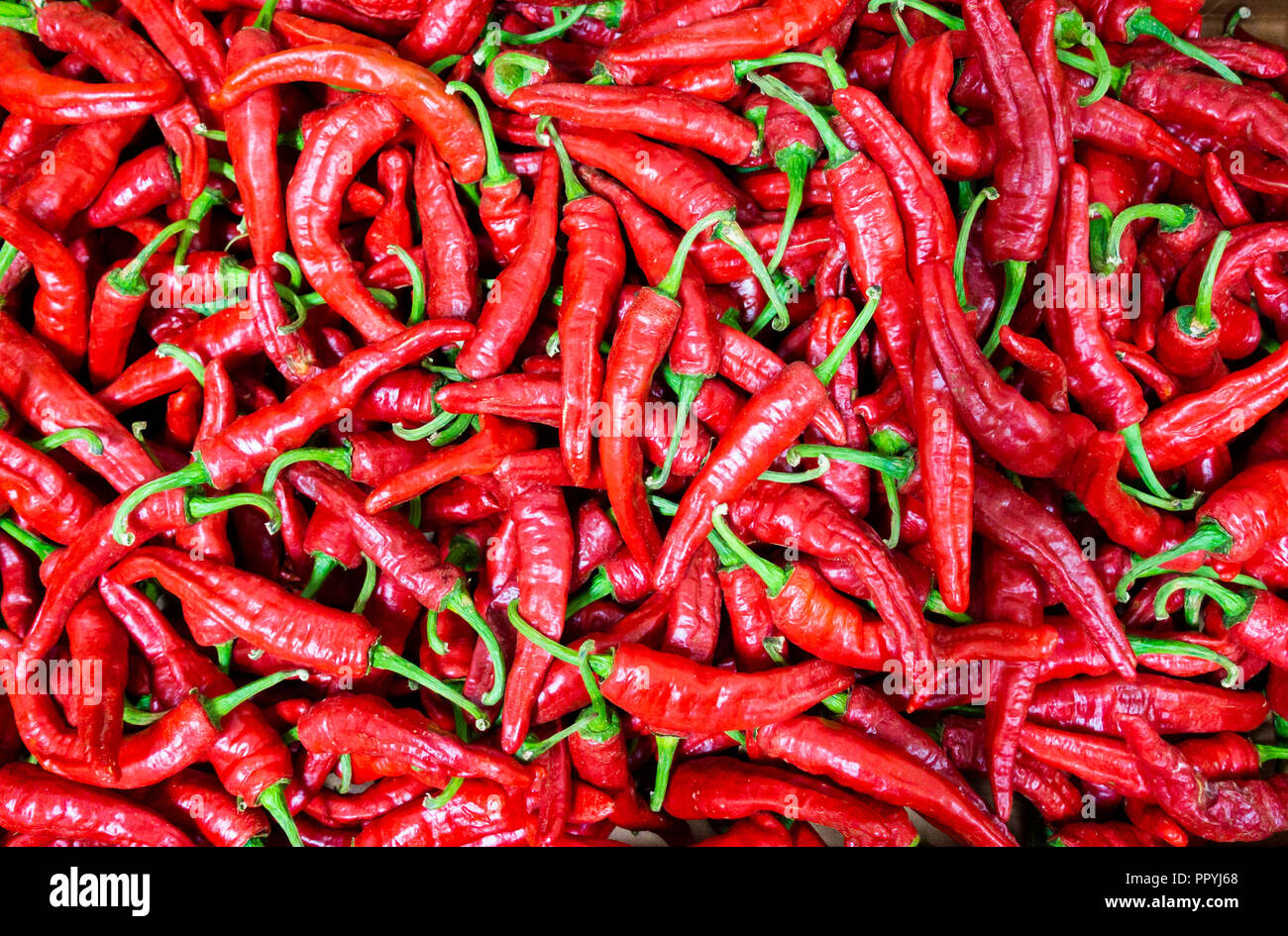 Pimientos Picantes (hot peppers /Chilli on market stall in Spain Stock Photo
