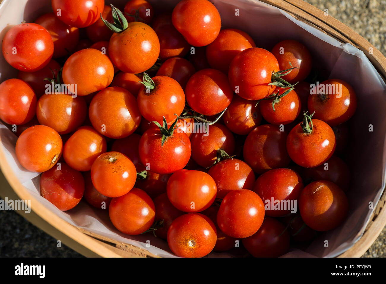 Gardeners delight tomatoes hires stock photography and images Alamy