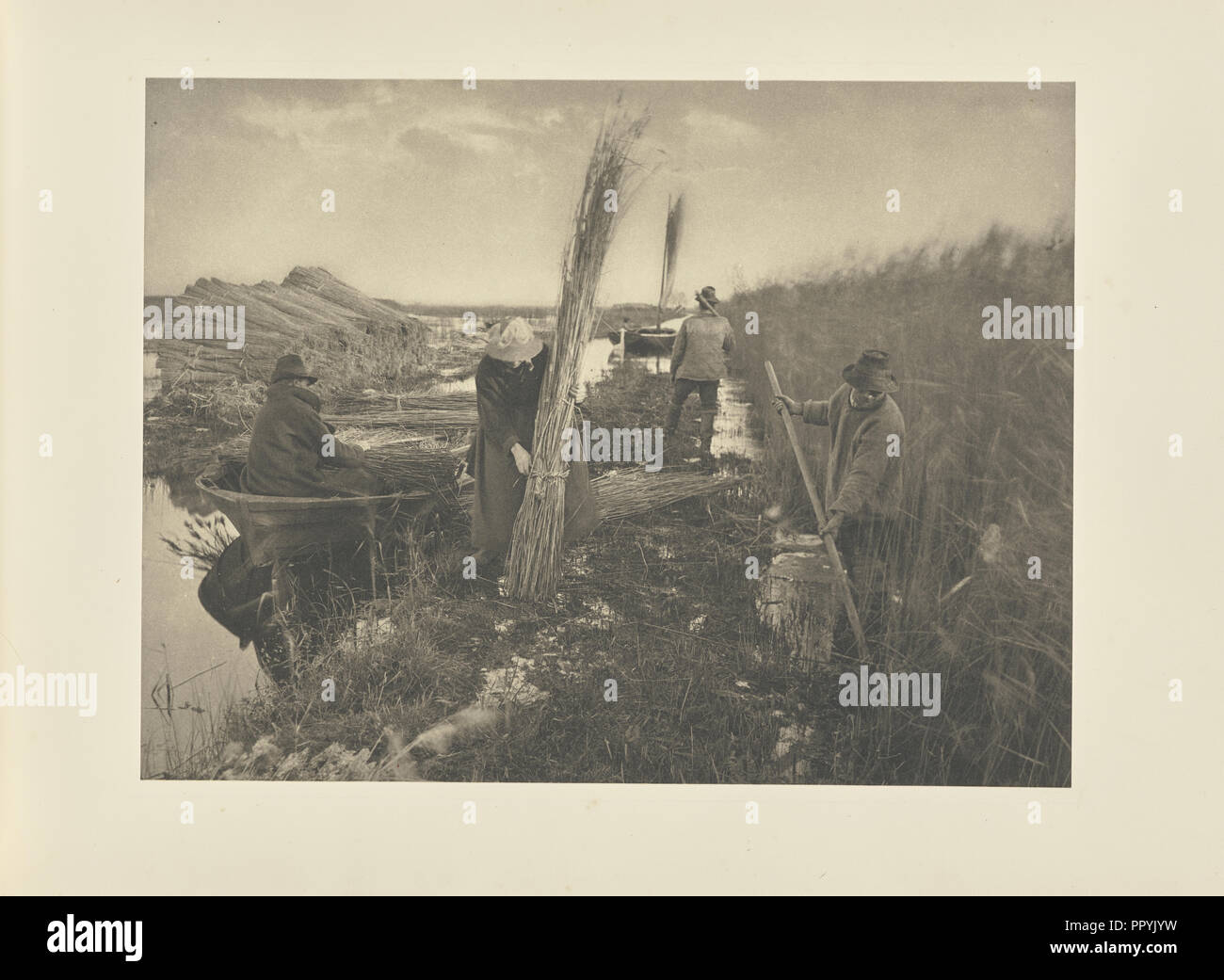 During the ReedHarvest; Peter Henry Emerson, British, born Cuba, 1856