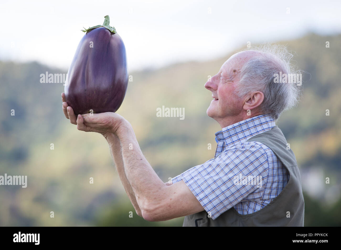 Peter Glazebrook looks at his giant aubergine at the CANNA