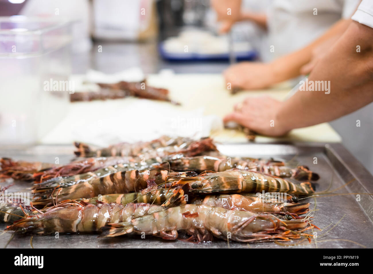 Cooks are cleaning tiger shrimps in the restaurant's kitchen Stock Photo