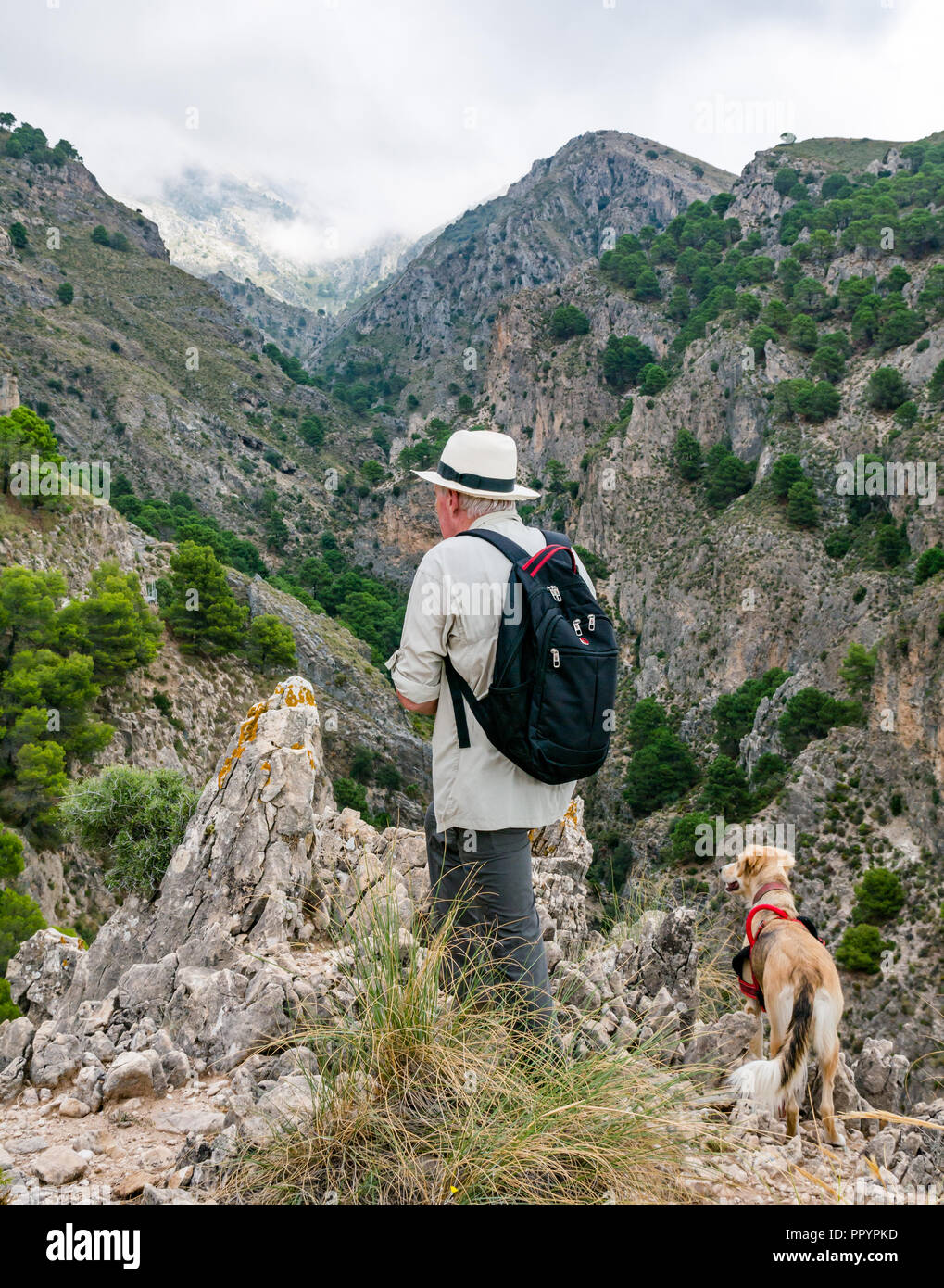 Man wearing Panama hat and dog admiring gorge view, Sierras de Tejeda Natural Park, Axarquia, Andalusia, Spain Stock Photo
