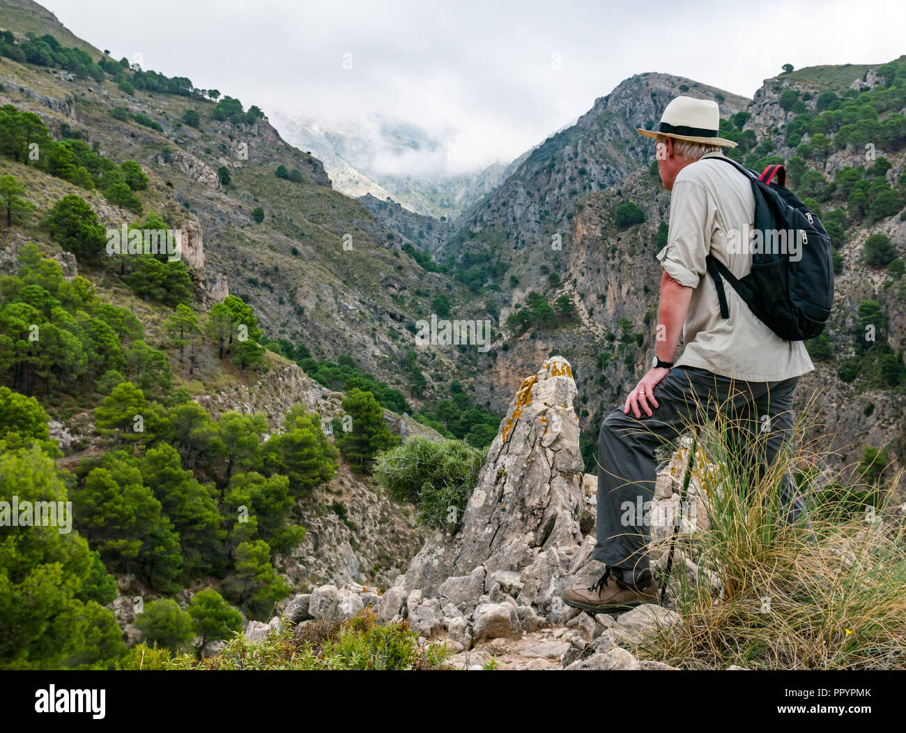 Man wearing Panama hat admiring mountain gorge view, Sierras de Tejeda Natural Park, Axarquia, Andalusia, Spain Stock Photo