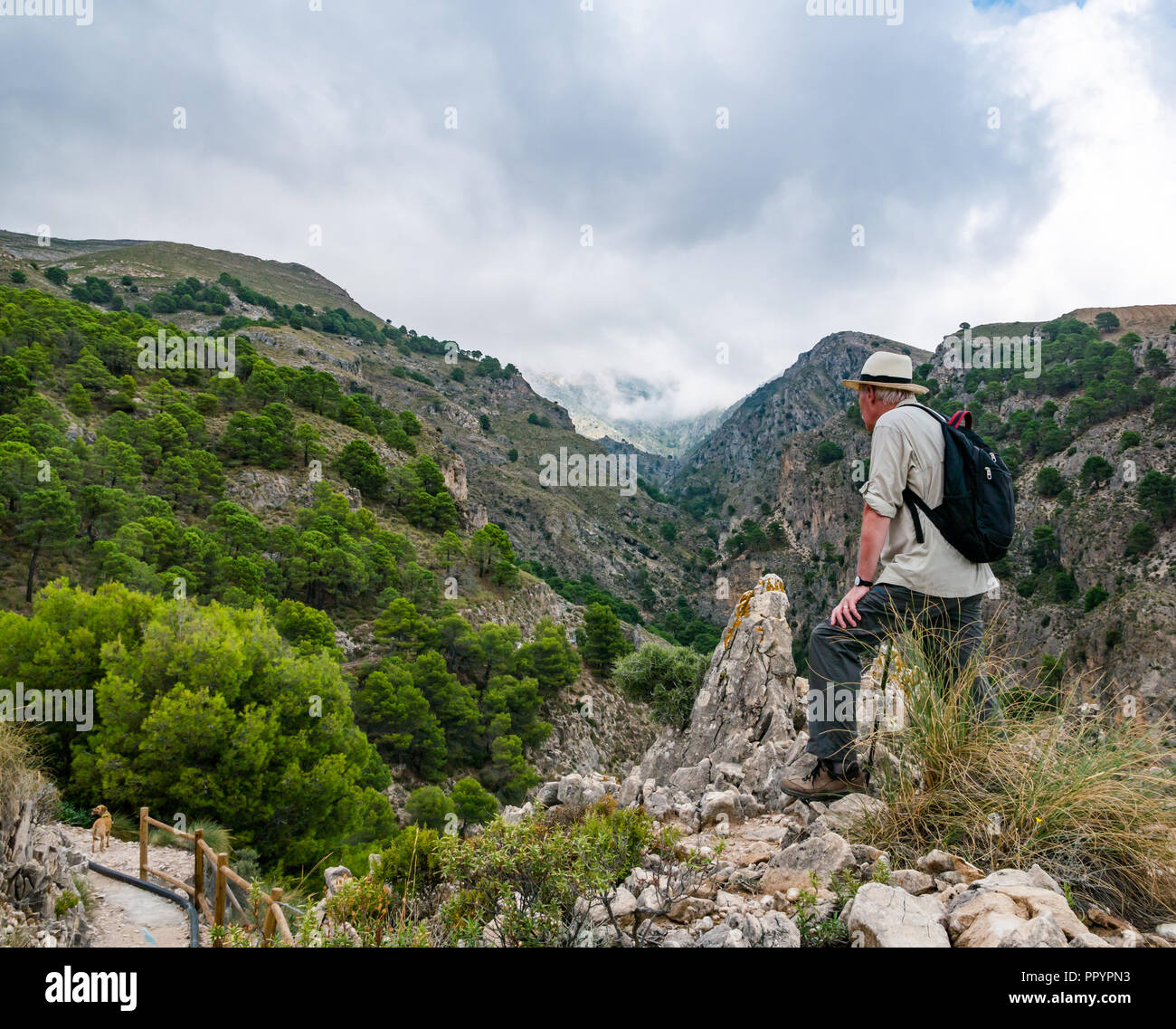 Man wearing Panama hat admiring mountain gorge view, Sierras de Tejeda Natural Park, Axarquia, Andalusia, Spain Stock Photo