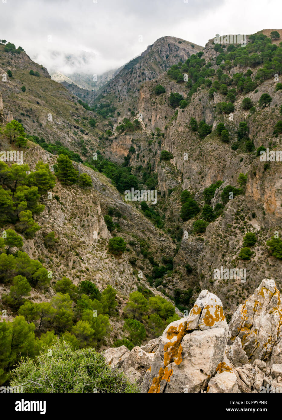 Steep gorge cliffs, Sierras de Tejeda Natural Park, Axarquia, Andalusia, Spain Stock Photo