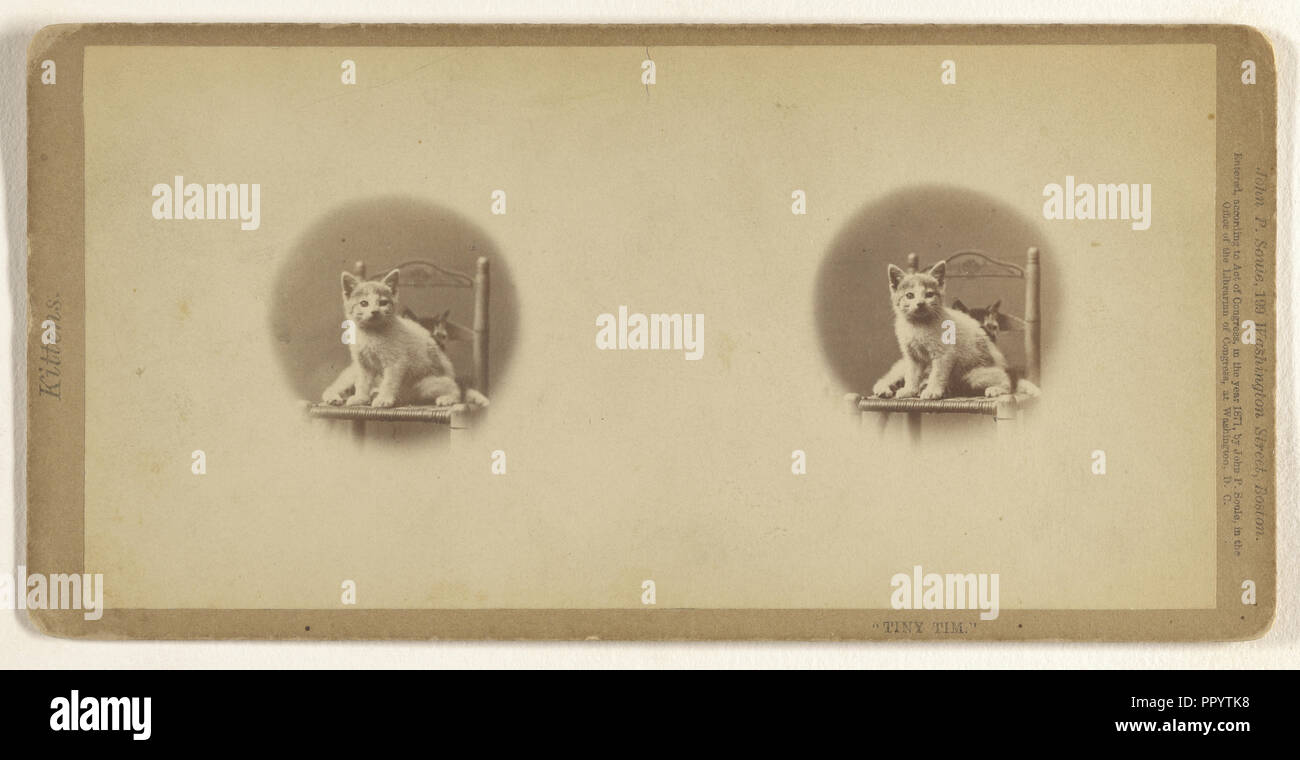 Tiny Tim.; John P. Soule, American, 1827 - 1904, 1871; Albumen silver print Stock Photo