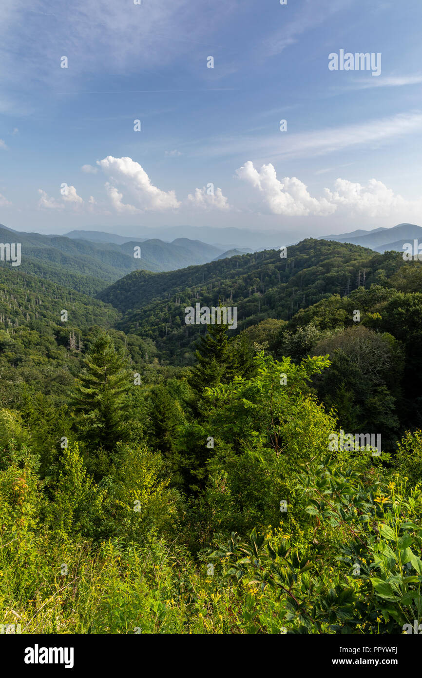 Smoky Mountains Scenic Landscape Stock Photo