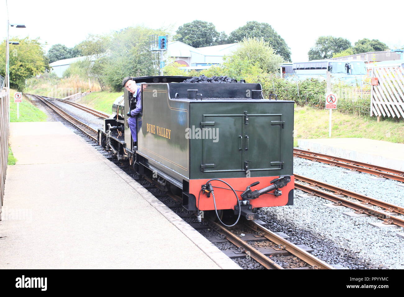 Small gauge steam train Stock Photo Alamy