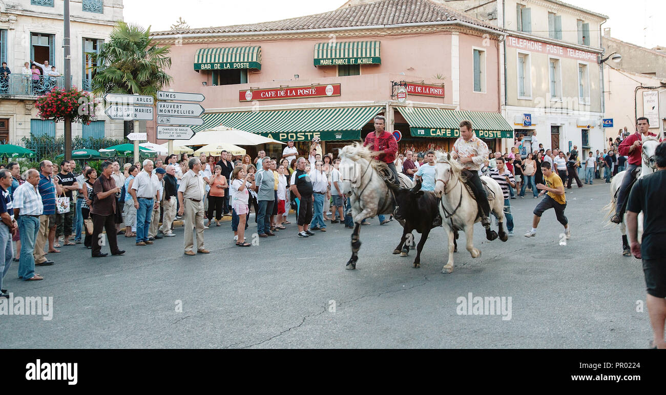 Saint Gilles,Camargue-France 2016 Traditional festival every year in August, the horsemen conduct the bulls running through the streets of the village Stock Photo