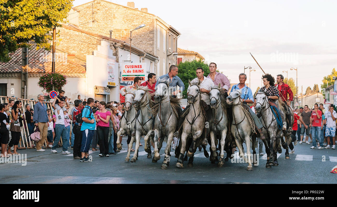 Saint Gilles,Camargue-France 2016 Traditional festival every year in August,the horsemen surround the bull with the horses running through the streets Stock Photo