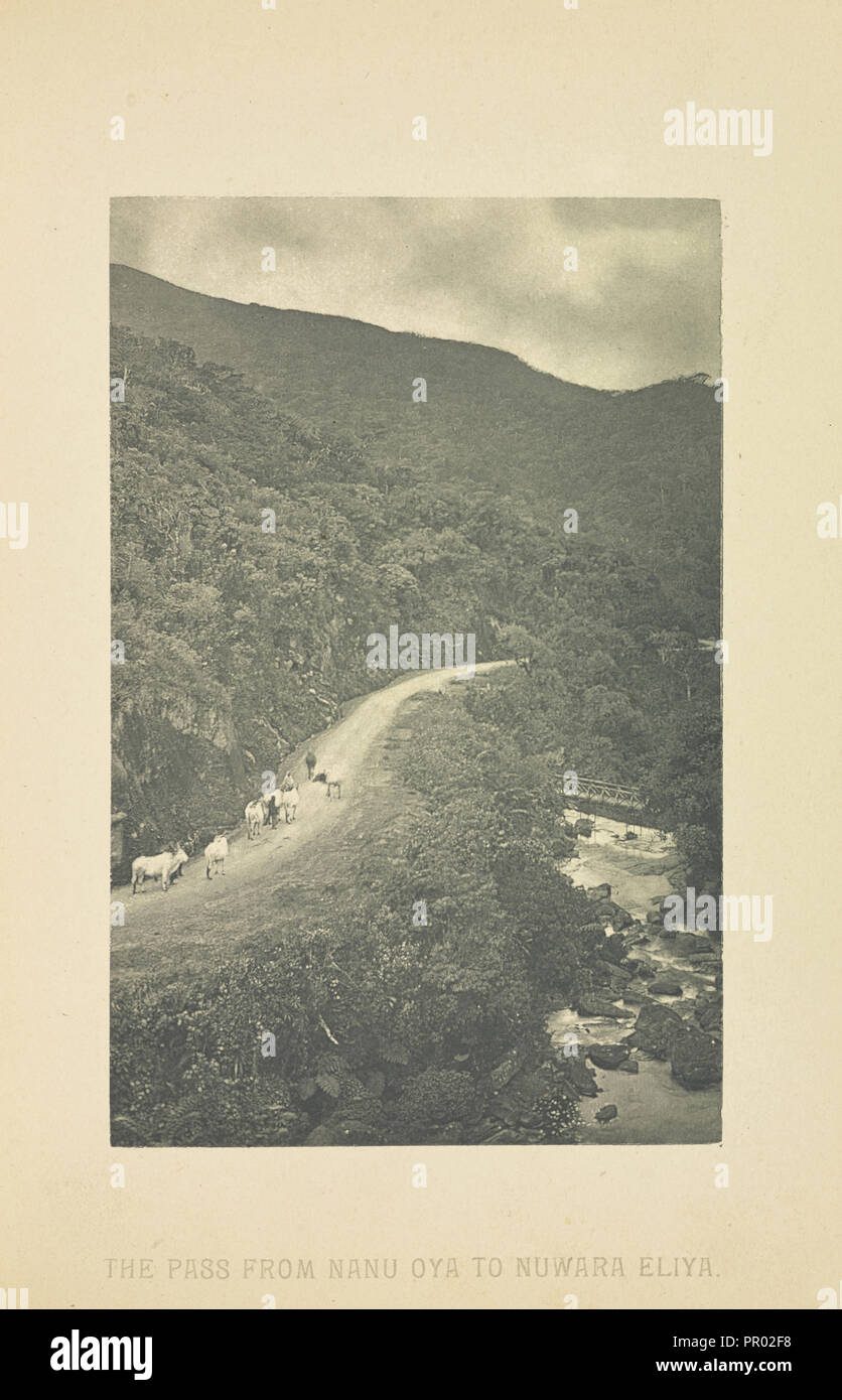 The Pass from Nanu Oya to Nuwara Eliya; Henry W. Cave, English, 1854 - 1913, Sri Lanka; about 1890; Photogravure Stock Photo