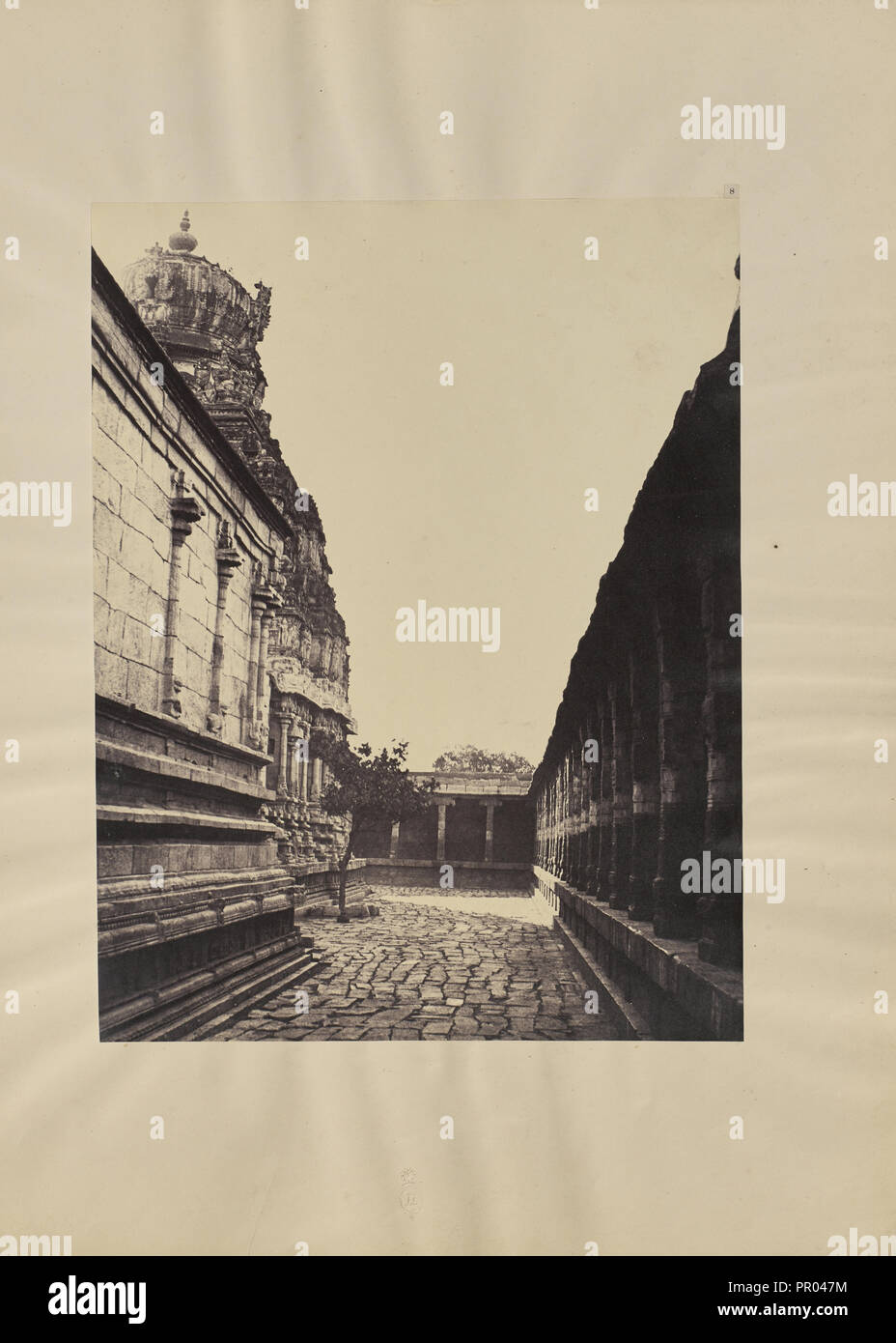 Linnaeus court hires stock photography and images Alamy