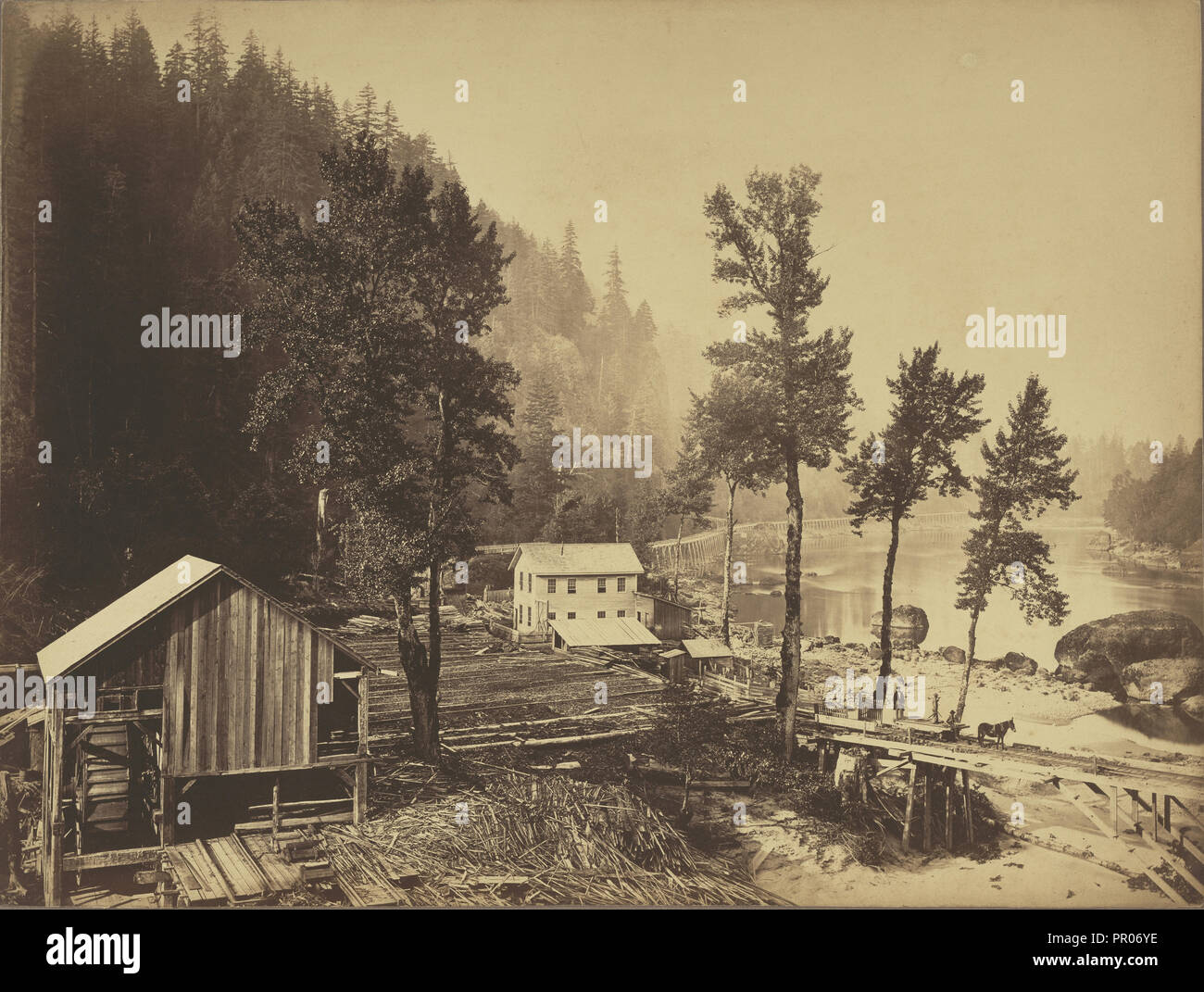 Eagle Creek, Columbia River, Oregon; Carleton Watkins, American, 1829 - 1916, 1867; Albumen silver print Stock Photo