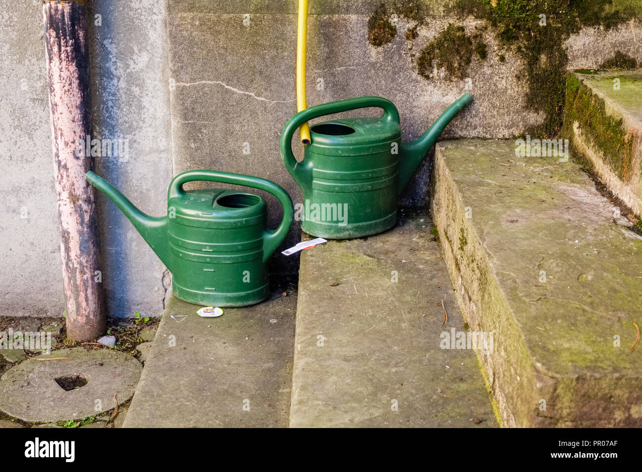 Two empty green watering cans are waiting on a stone staircase to be