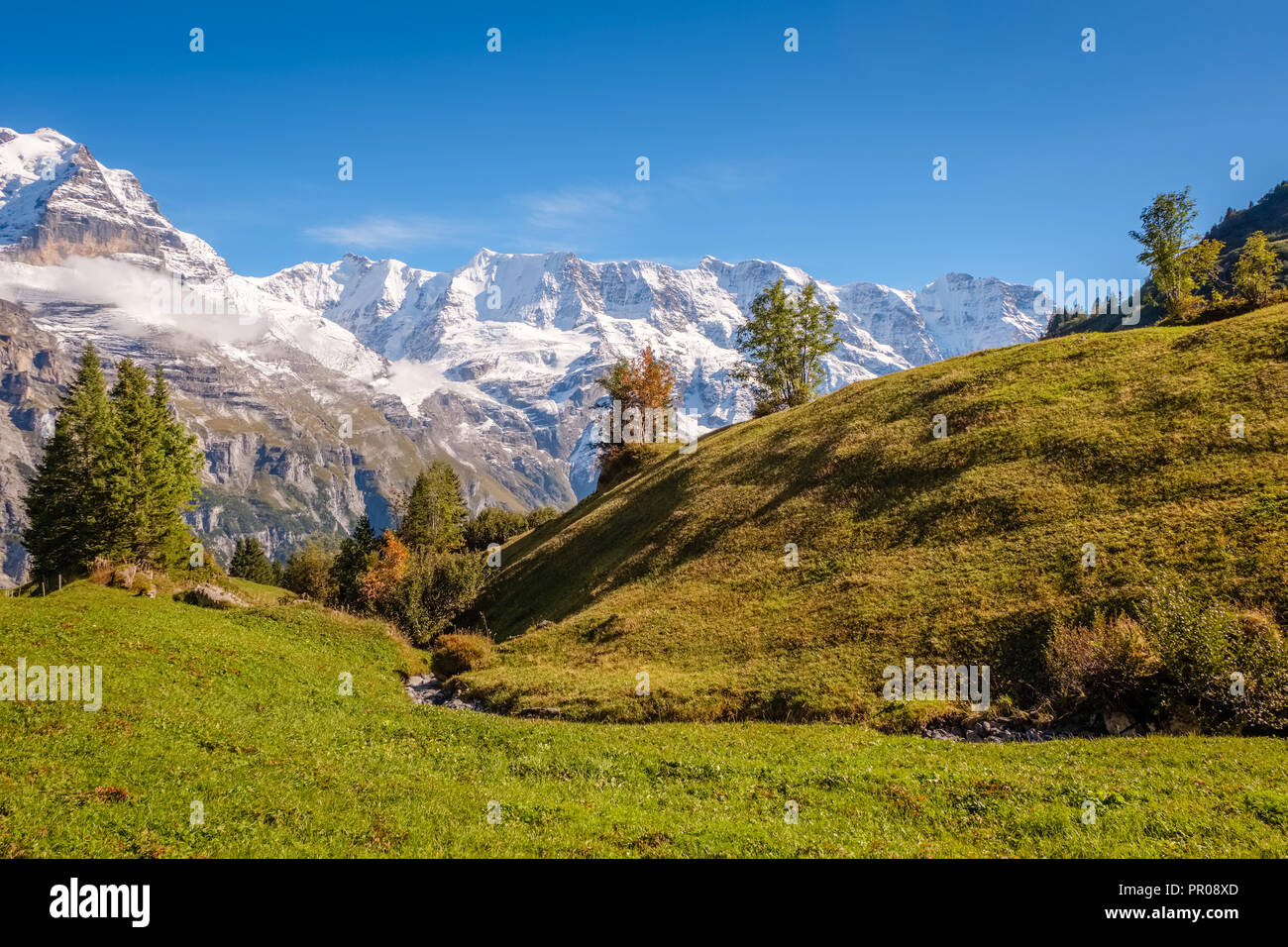 jobbörse oberland
