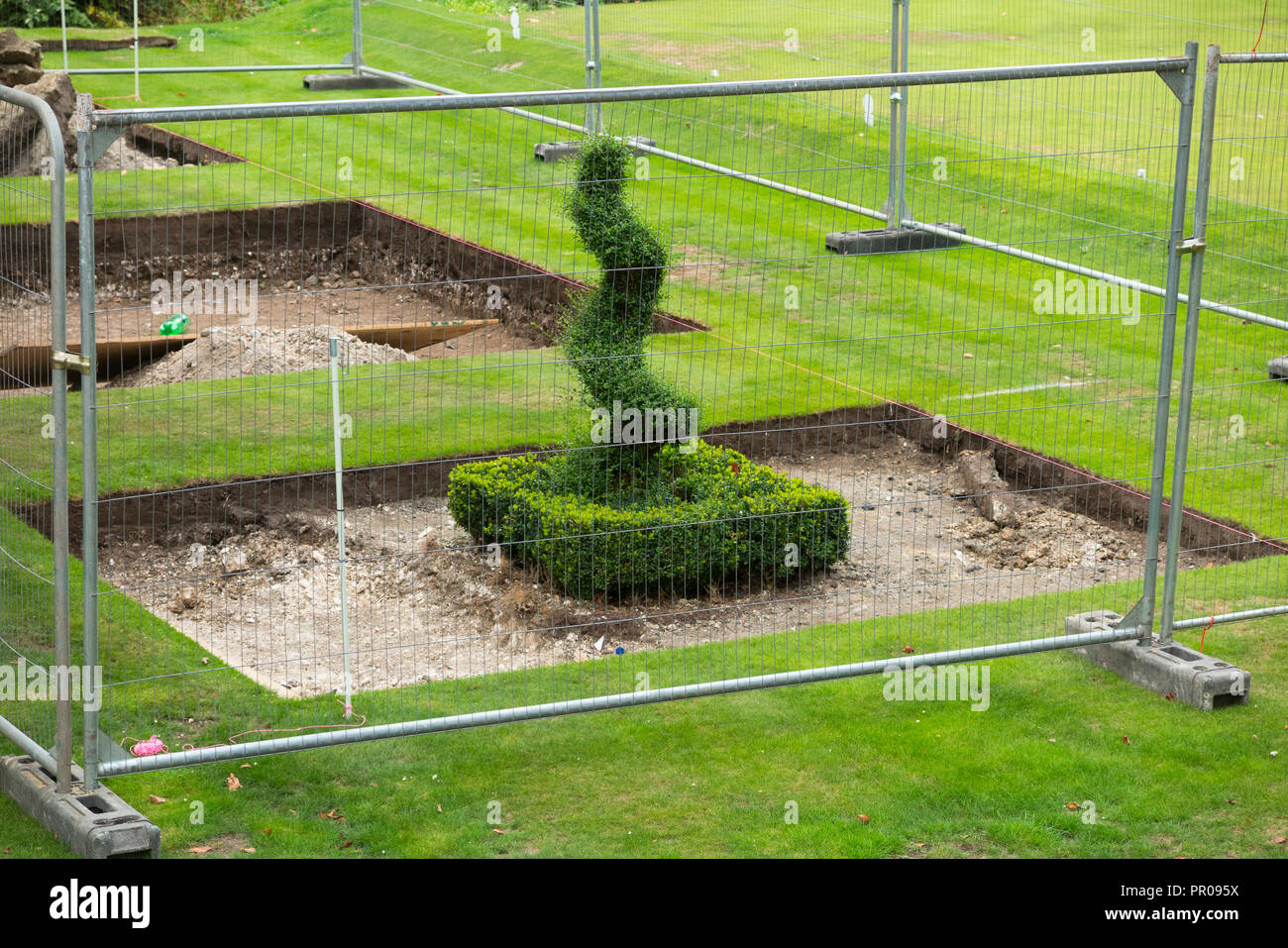 A metal screen / cage around a Box tree (Buxus) garden plant which symbolises protecting the plant and the fight against the Boxtree moth invasion. UK Stock Photo