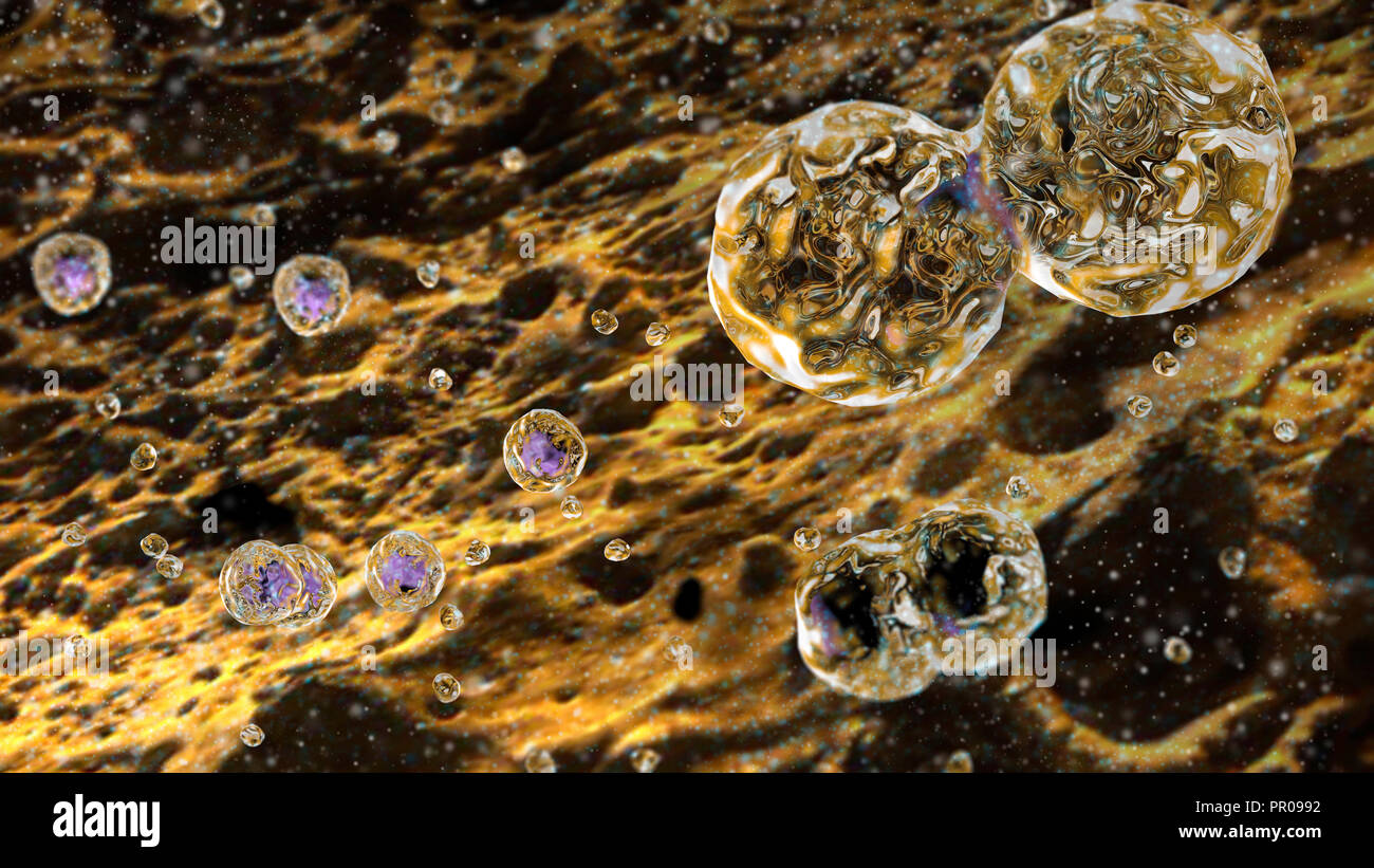 Cells, micro organisms, life formation. Cell duplication. Formation of batteries and microorganisms seen under a microscope, 3d rendering Stock Photo