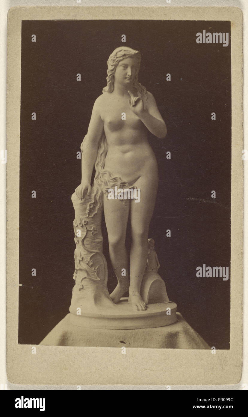 Melusine statue; about 1870; Albumen silver print Stock Photo