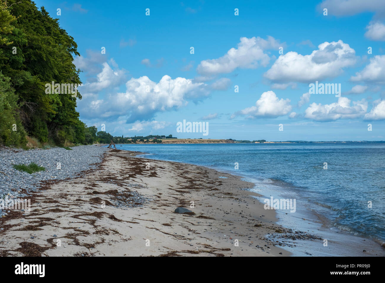 Beach of Fanefjord Skov at the Southwest side of Moen Island, Denmark, Scandinavia, Europe. Stock Photo
