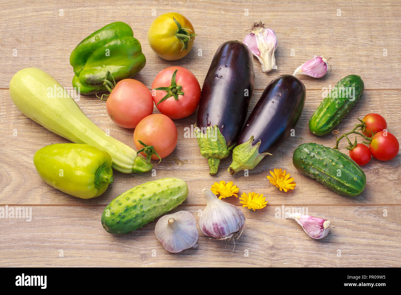 Just picked zucchini, tomatoes, bell peppers, eggplants, garlic and cucumber on wooden board. Just harvested vegetables. Top view Stock Photo