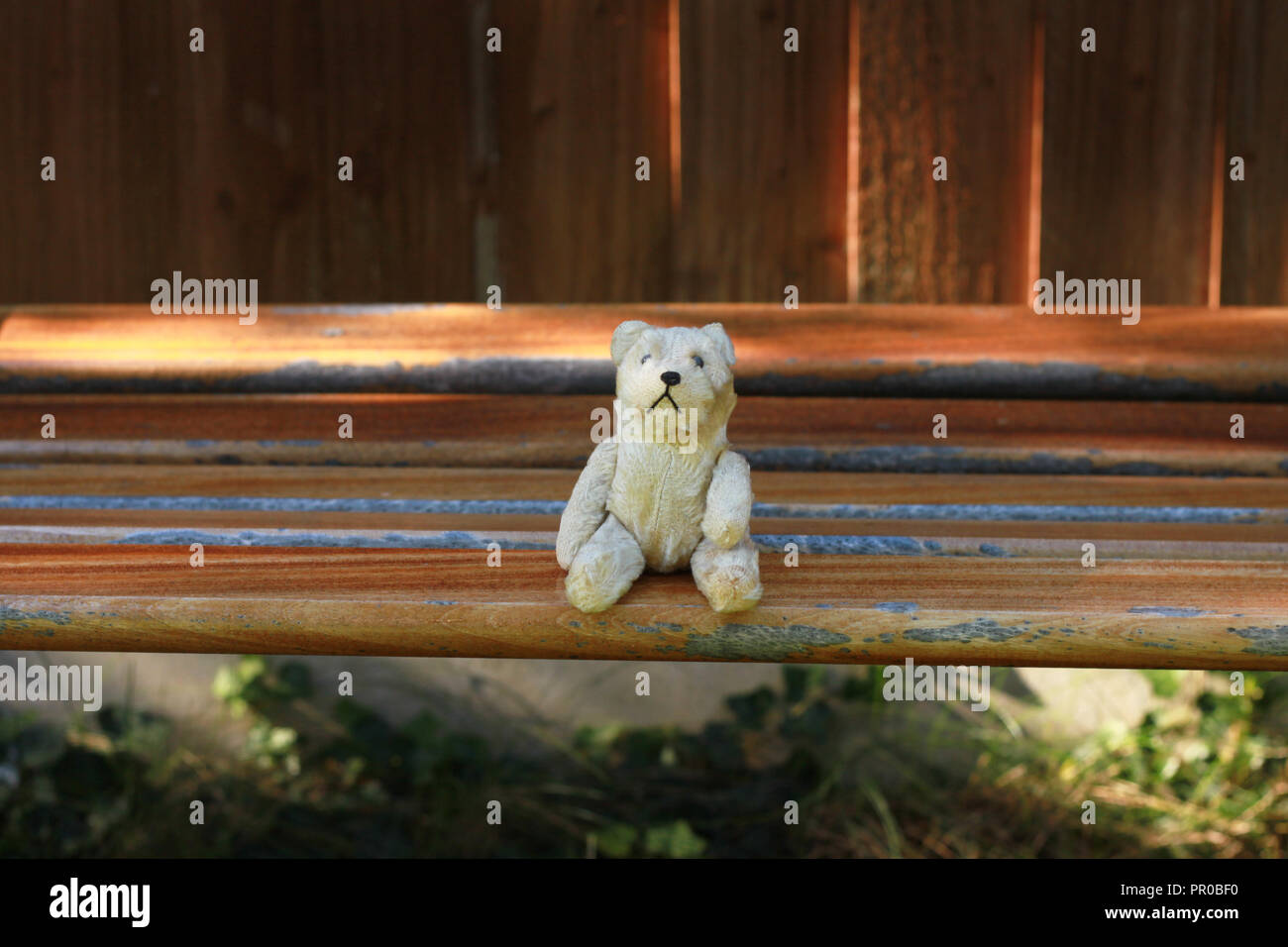 Small old teddy bear sitting on bench in a garden Stock Photo - Alamy