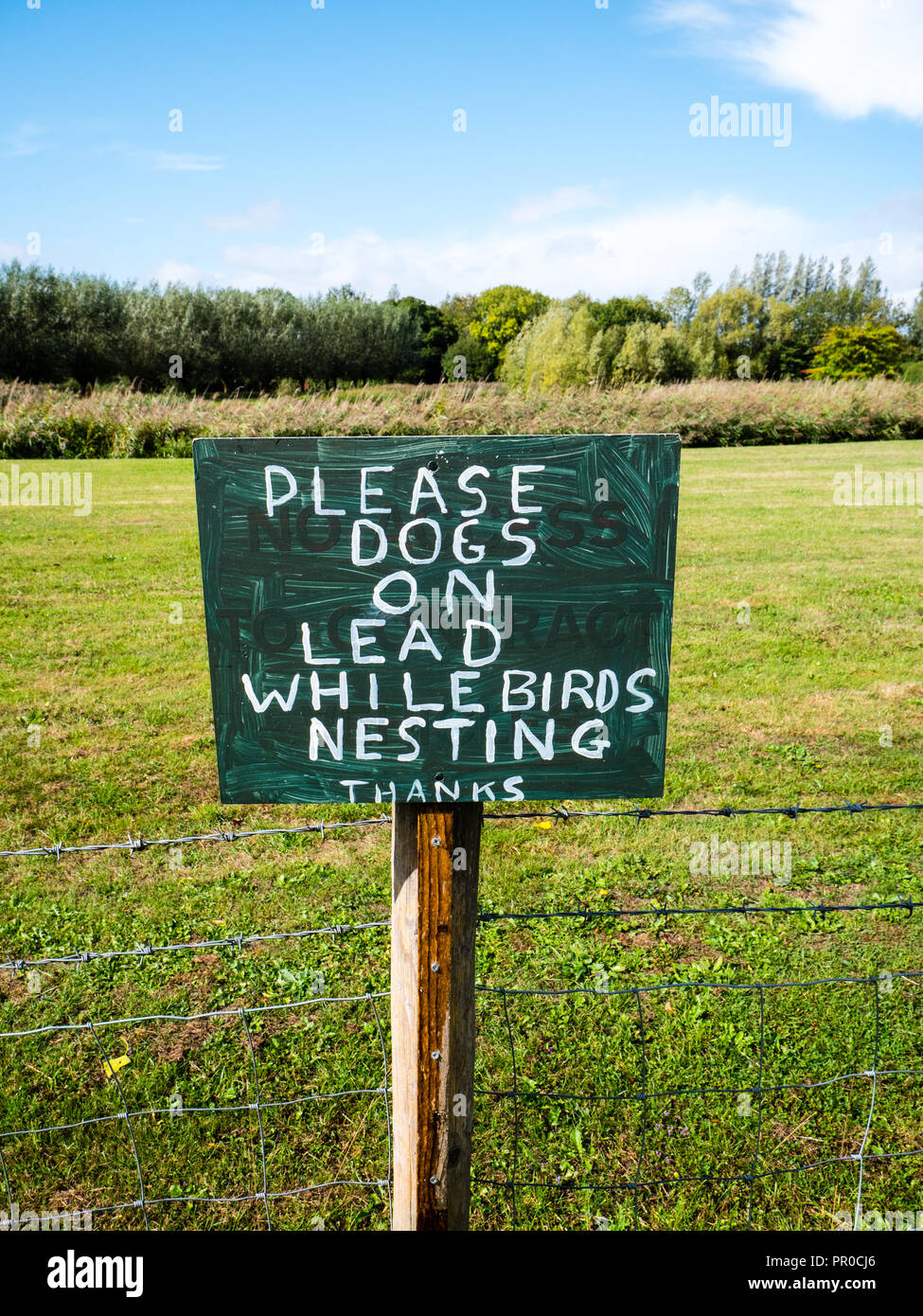 Keep dogs on lead uk hires stock photography and images Alamy