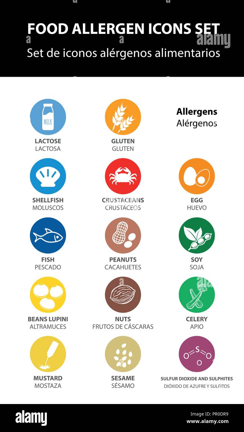 food allergen icons set, vector. Stock Vector