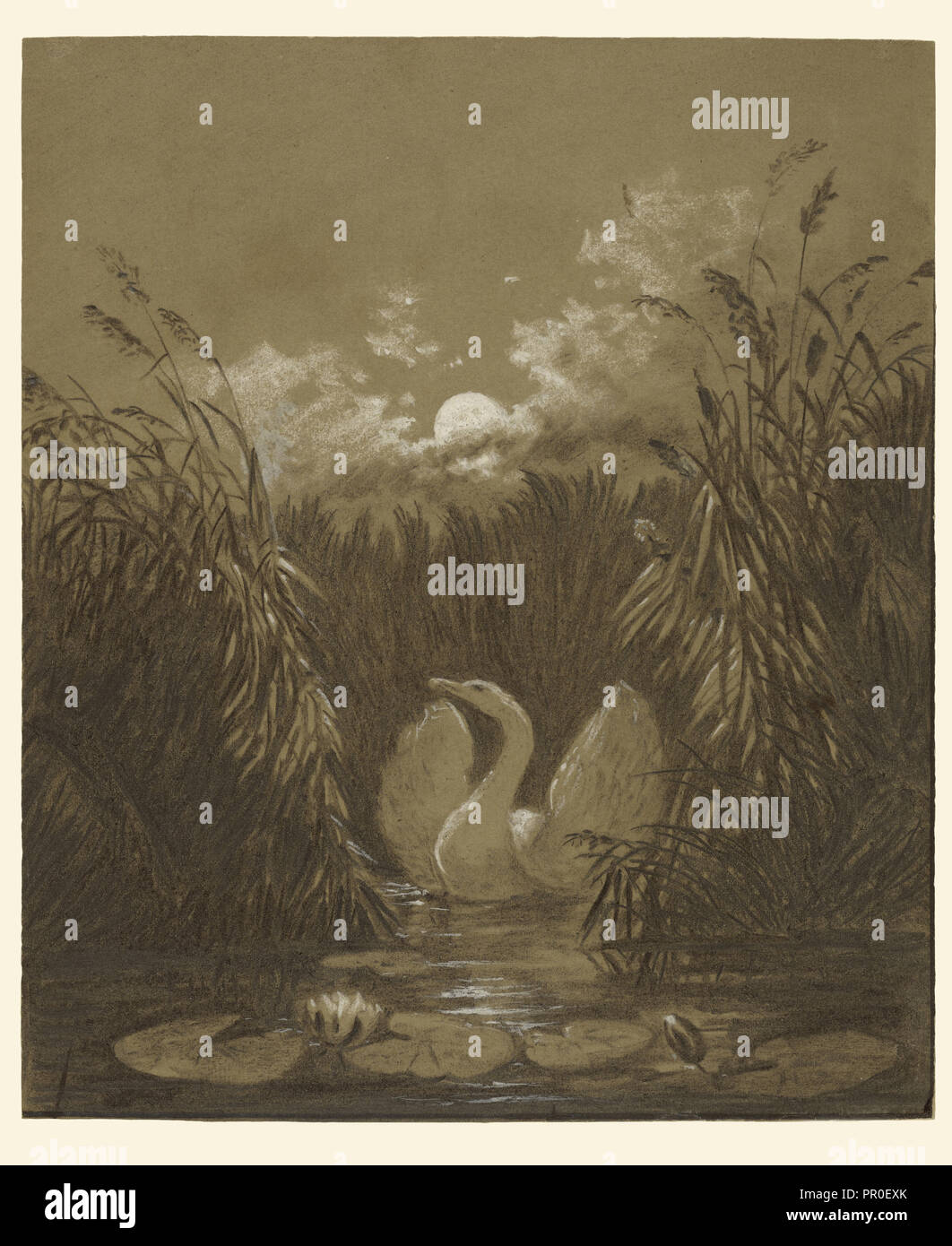 A Swan Among the Reeds, by Moonlight; Carl Gustav Carus, German, 1789 - 1869, Germany; September 18, 1852; Charcoal with white Stock Photo