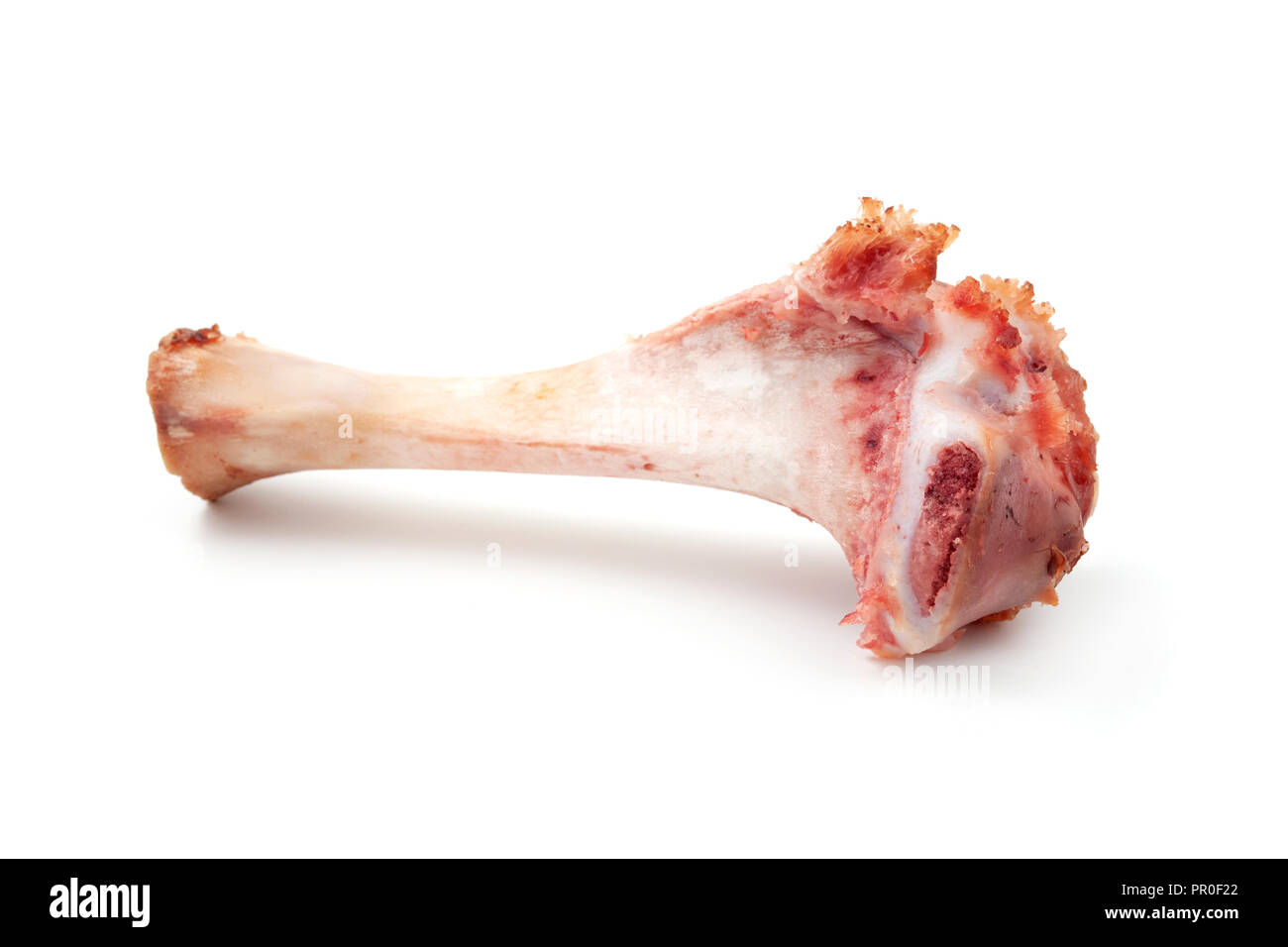 Ham hock bone on a white background Stock Photo