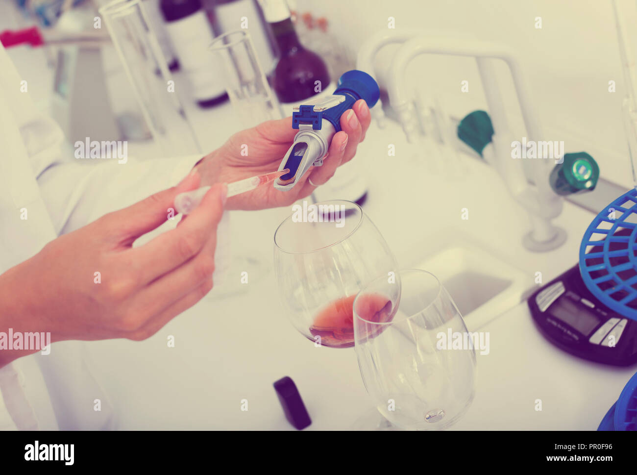 Close examination of characteristics hi-res stock photography and ...