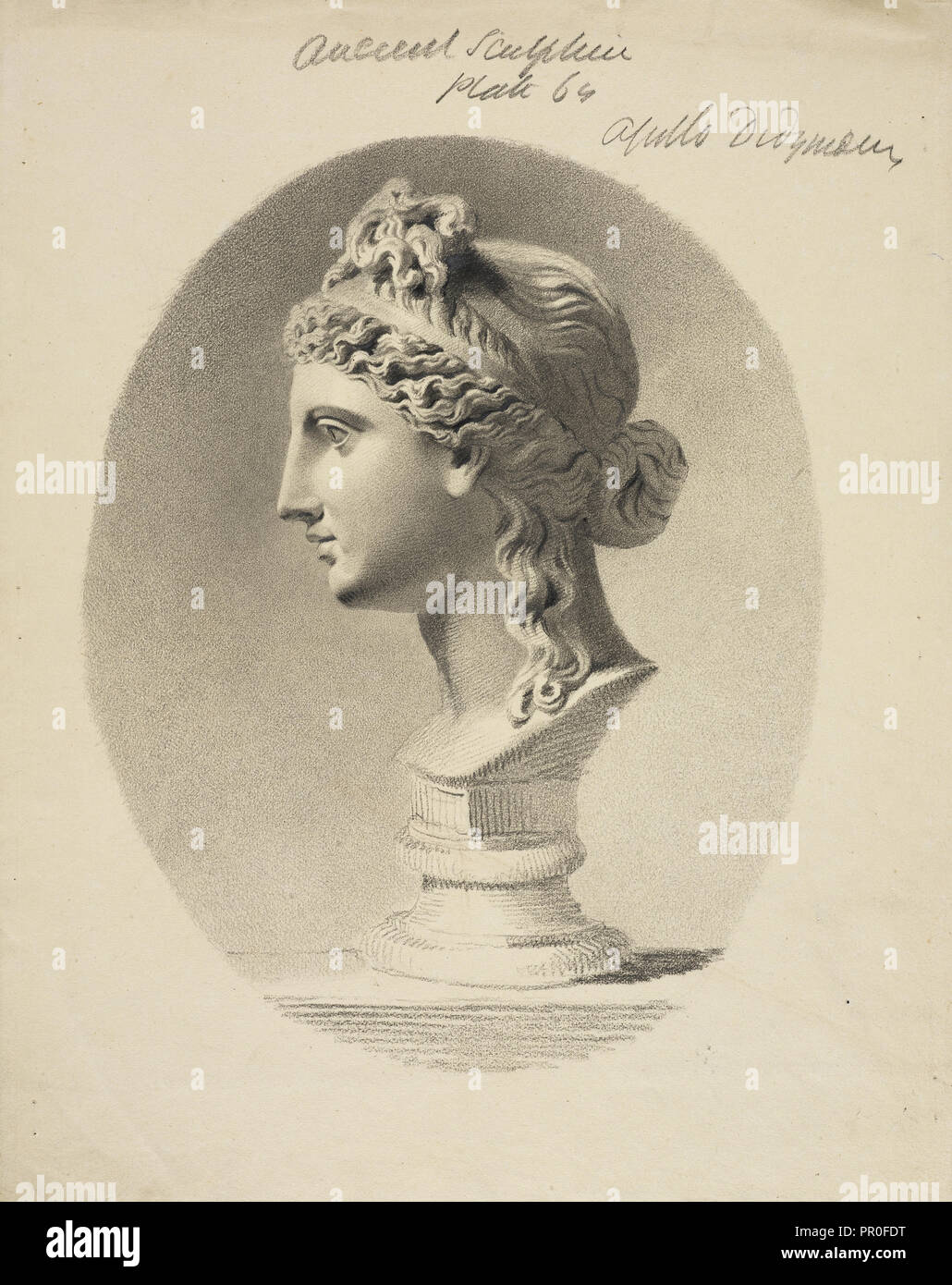 Head of the Didymaean or androgynous Apollo, Society of Dilettanti drawings, prints, and letters, 1806-1880, Pencil on paper Stock Photo