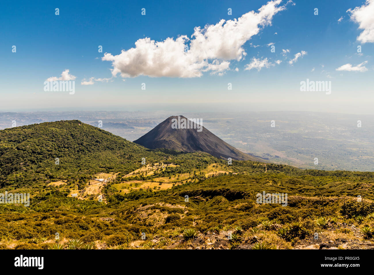 The view of Volcano Izalco from Volcano Santa Ana, Santa Ana, El Salvador, Central America Stock Photo